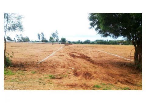 plots for sale in yelahanka | plots for sale in bangalore