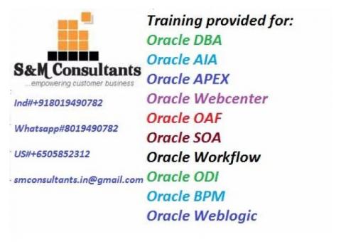 Online Oracle Performance Tuning Training