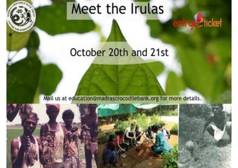 Meet the Irulas on October | Entryeticket