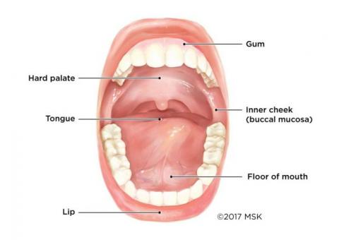 Mouth Cancer Specialist