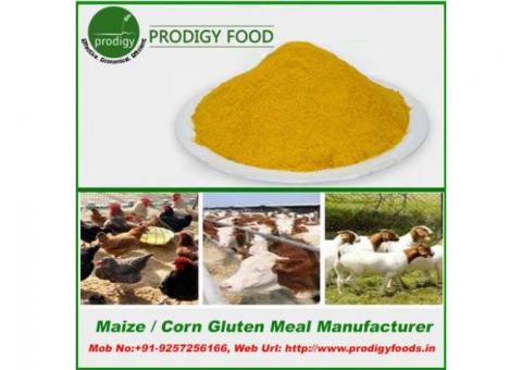 Corn Gluten Meal Manufacturers in India