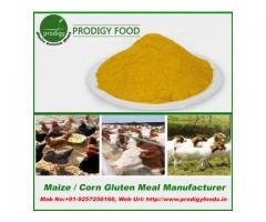 Corn Gluten Meal Manufacturers in India