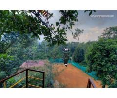 Best Resorts in Coorg Homestay in Coorg Evergreen County