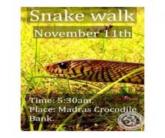 Snake Walk on November 2018  | Entryeticket