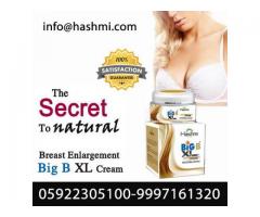 Promote Breast Size and Firmness with Big BXL Cream