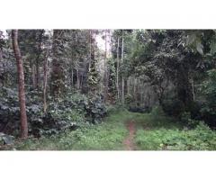 Coffee Estate and Farm House for sale in sakleshpur