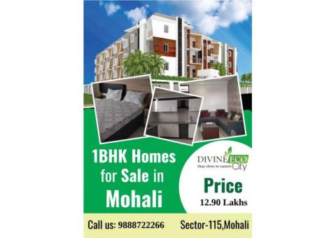 1BHK Flats For Sale in Mohali at Divine Eco City