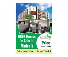 1BHK Flats For Sale in Mohali at Divine Eco City