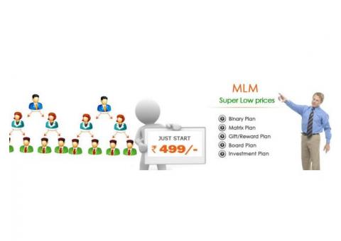 Mlm software here in your budget