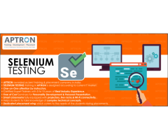 Selenium Training in Delhi by Certified Experts