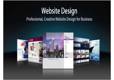 Website Development Company in Delhi