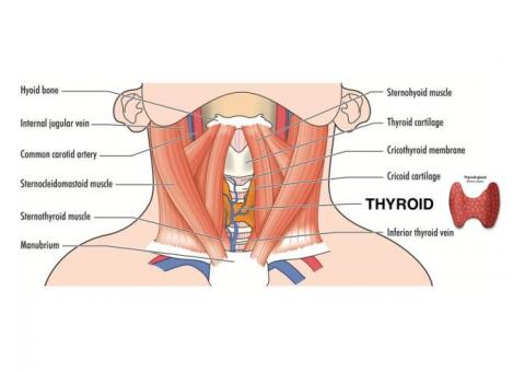 Thyroid Disease Surgeon in Noida / headneckdoctor.com