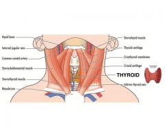 Thyroid Disease Surgeon in Noida / headneckdoctor.com