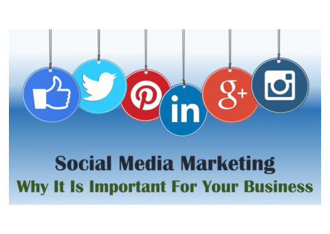 Aspiringteam  : Social Media Marketing Company in Delhi