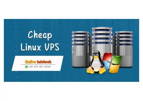 Cheap Linux VPS Hosting Server - Onlive Infotech