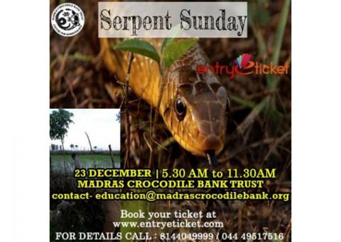 Serpent Sunday | Entryeticket