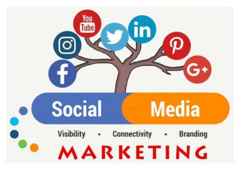 Social Media Marketing Agency in Delhi – aspiringteam.com