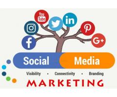 Social Media Marketing Agency in Delhi – aspiringteam.com