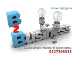 B2B Database Provider in Maharashtra |Hojayga