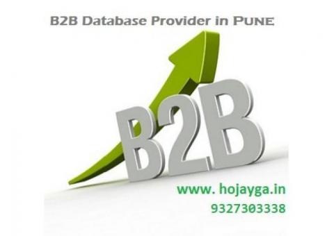 B2B Database Provider in Pune|Hojayga