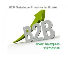 B2B Database Provider in Pune|Hojayga