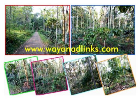 1 Acre land for sale at Koleri,Wayanad,near Spice Garden Farm House