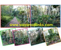 1 Acre land for sale at Koleri,Wayanad,near Spice Garden Farm House