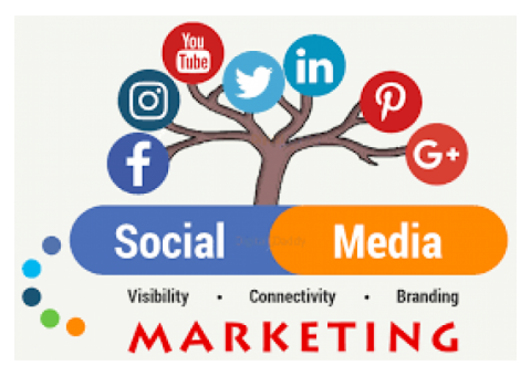 Social Media Marketing Agency in Noida : aspiringteam.com