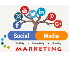 Social Media Marketing Agency in Noida : aspiringteam.com