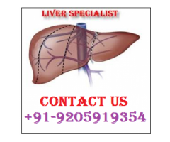 liver specialist doctor bhatpar Rani [+91-9205919354]