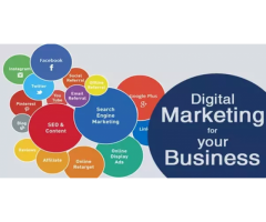 Digital Marketing Company in Delhi