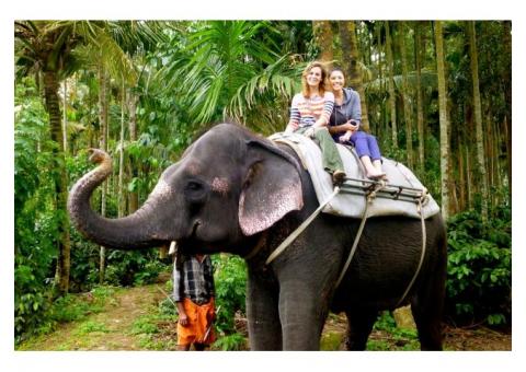 Best Kerala Travel and Holiday Packages