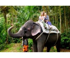 Best Kerala Travel and Holiday Packages