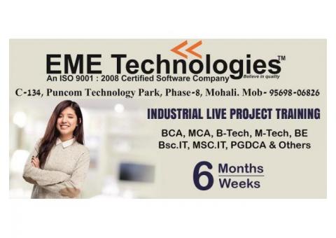 Industrial Training in Mohali