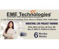 Industrial Training in Mohali