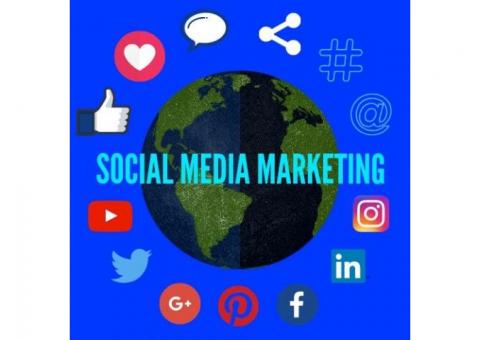 Social Media Marketing Company in Delhi