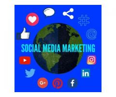 Social Media Marketing Company in Delhi