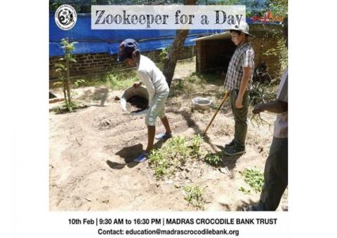 Zookeeper for a Day 2019 - Entryeticket