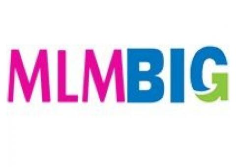 MLMBig Software at Best Price