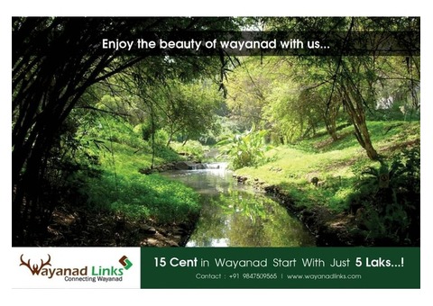 Dam view property for sale in near Banasura Sagar dam -wayanadlinks