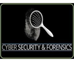 Cyber Security (6 Months) For Cyber Forensic Students