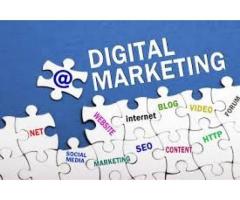 Digital marketing company in india