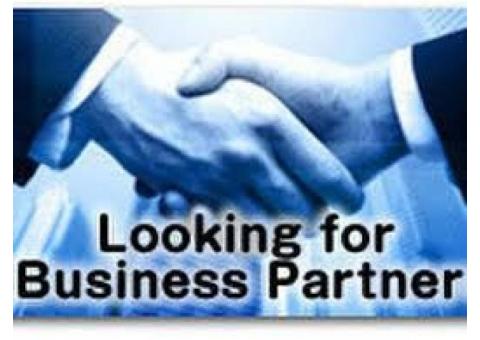 I am looking for a business partner