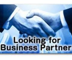 I am looking for a business partner