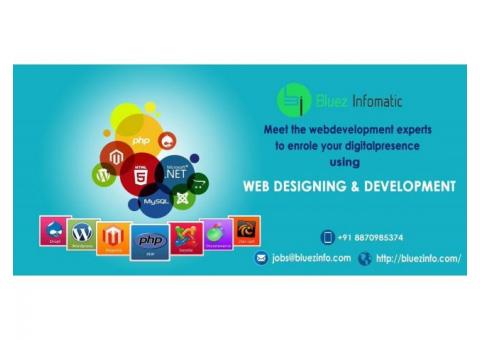 Bluezinfomatic is a leading software Developer in Tirupur