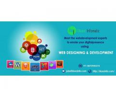 Bluezinfomatic is a leading software Developer in Tirupur