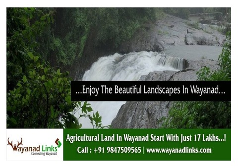 land for investment in wayanad-wayanadlinks