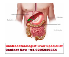 Gastroenterologist liver specialist in  Ramnath Deoria | +91-9205919354