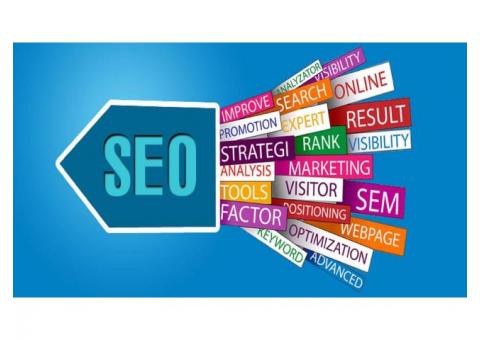 Seo Training  in Nagpur