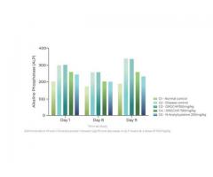 Organic Chlorella with Rich Source of Vitamin B12